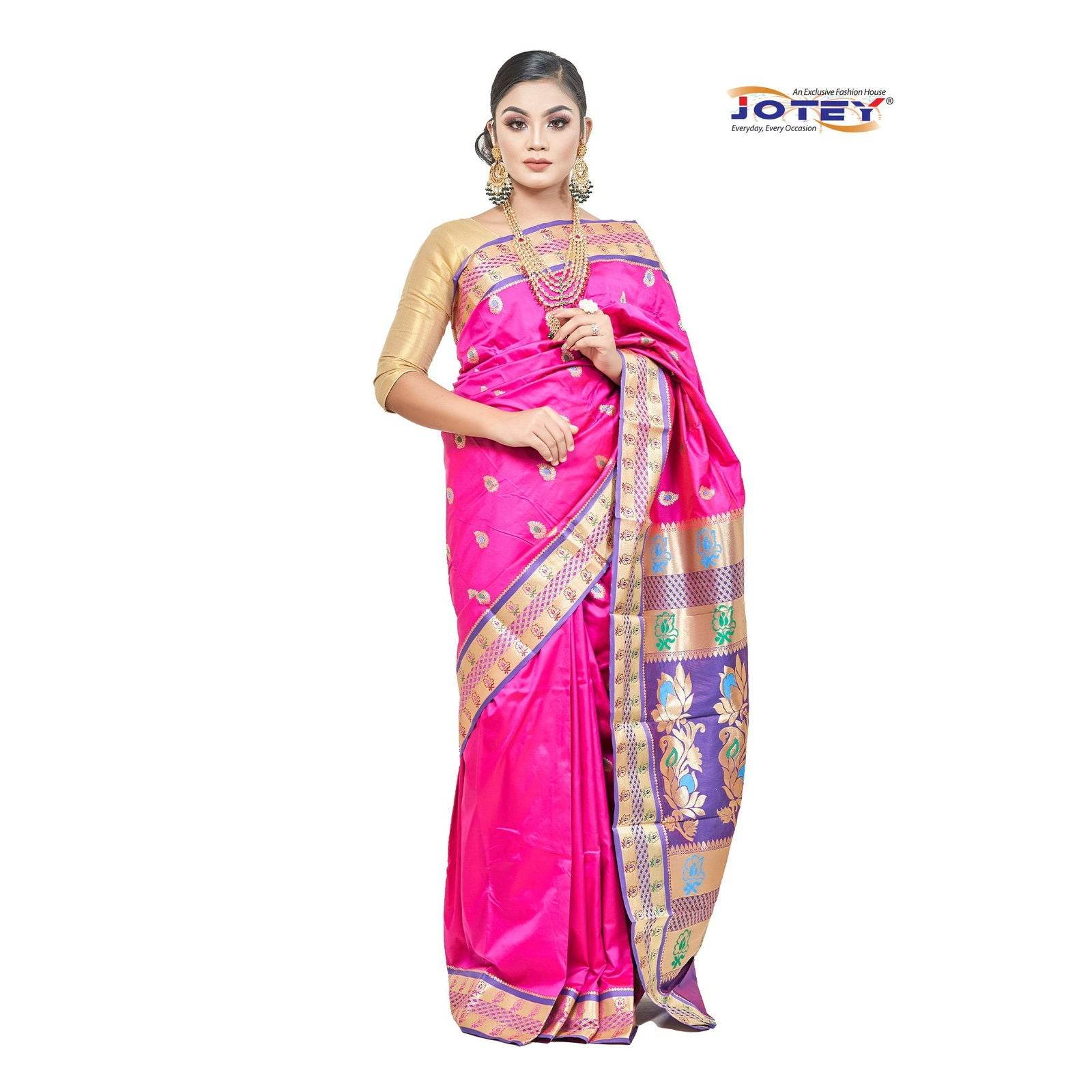 Meenakari Belgaum Katan Saree
