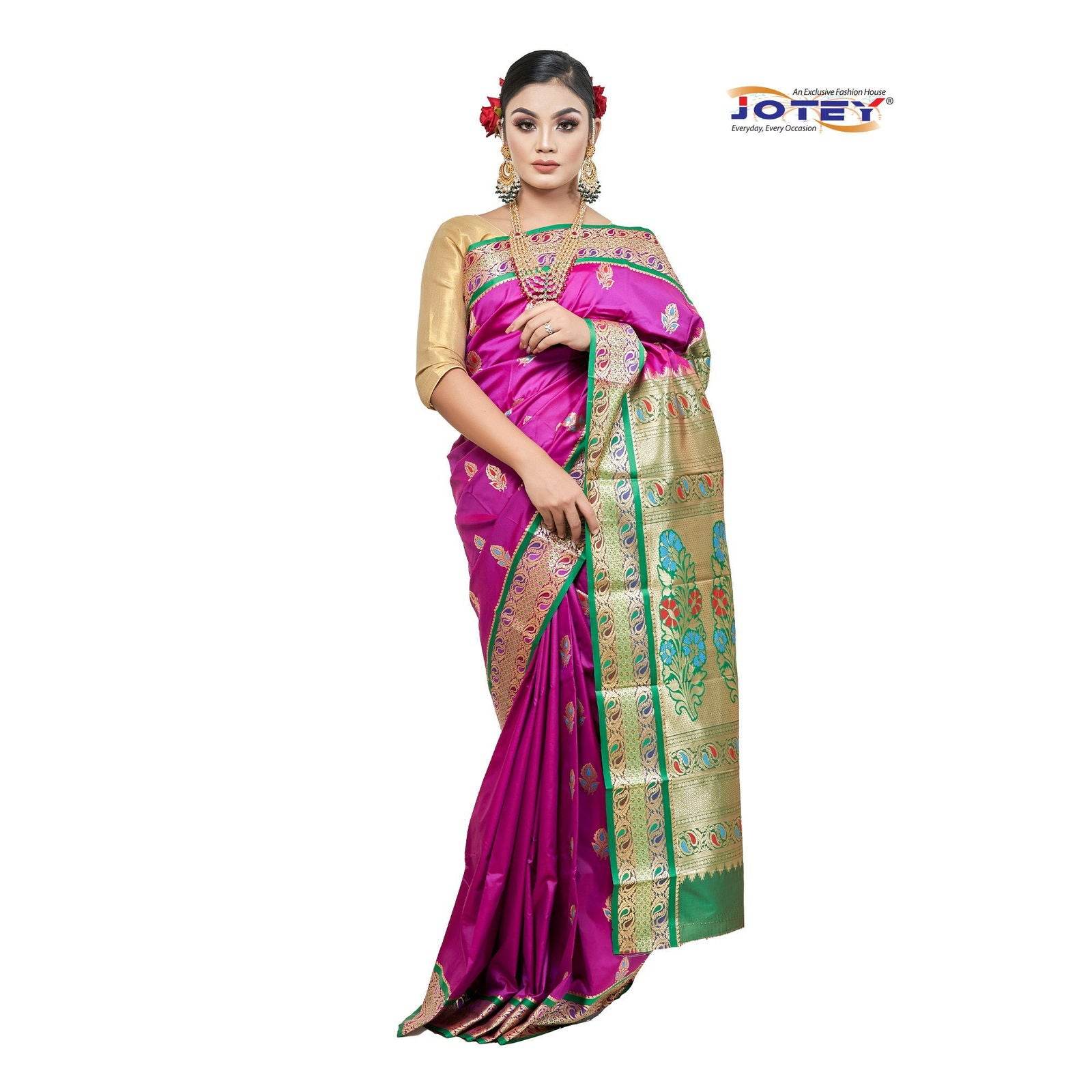 Meenakari Belgaum Katan Saree